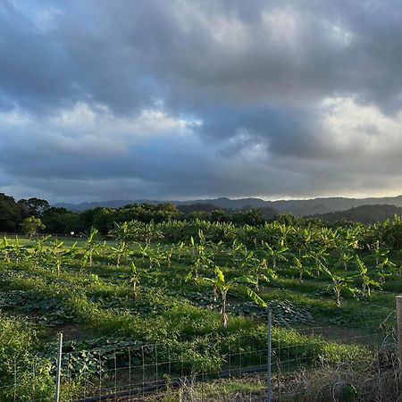 Maleka Farm: Tent Glamping North Shore Oahu Laie Exterior foto